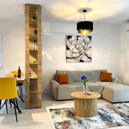 Comfort - Pet Friendly * Brasov