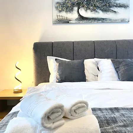 Apartment Comfort - Pet Friendly *