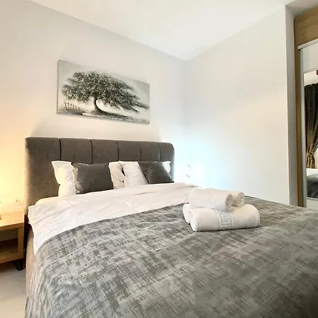 Comfort - Pet Friendly Brasov