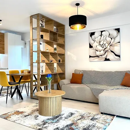 Comfort - Pet Friendly Apartment Brasov