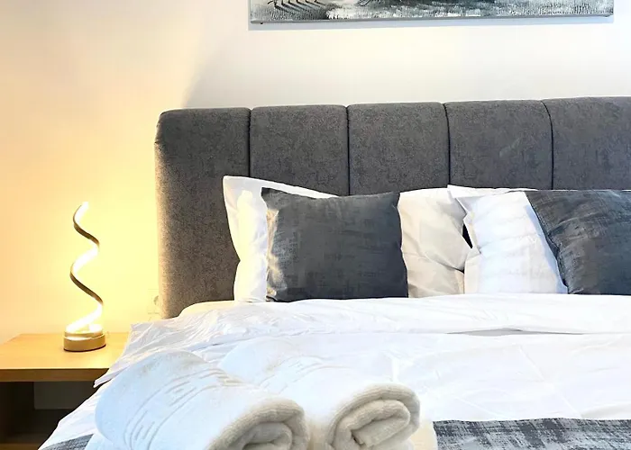 Apartment Comfort - Pet Friendly *