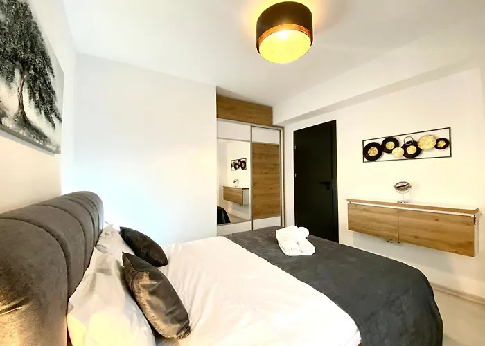 Comfort - Pet Friendly Apartment Brasov