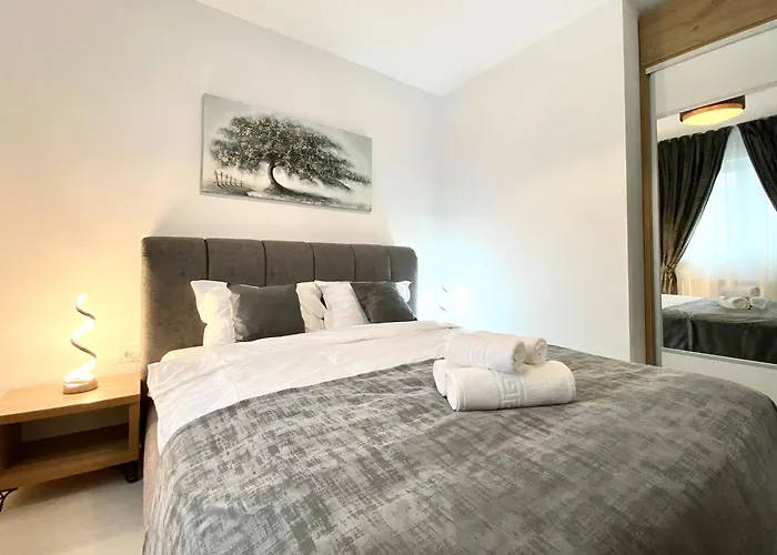 Comfort - Pet Friendly Brasov